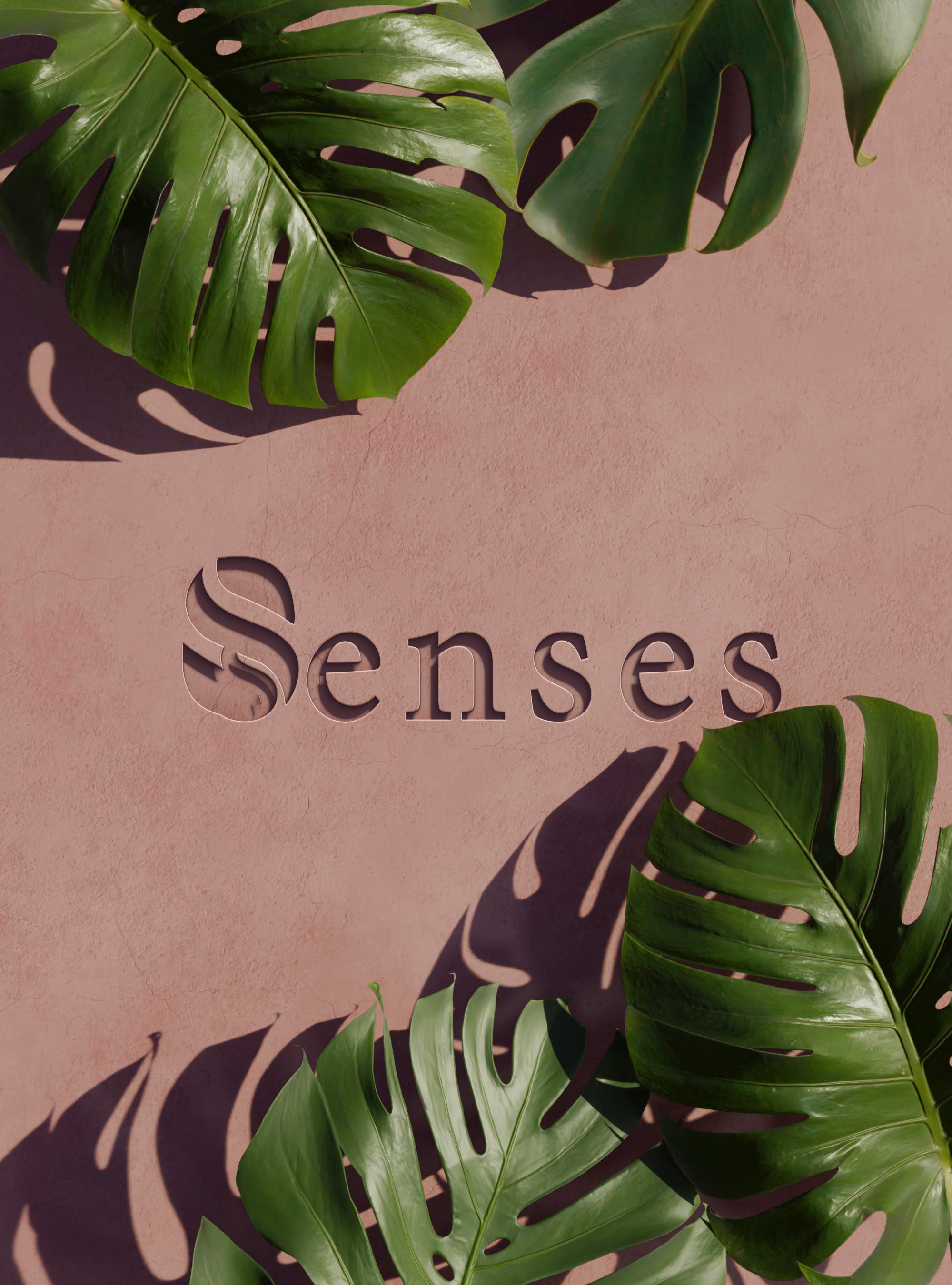 Senses
