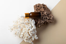 Cosmetics