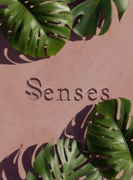 Senses